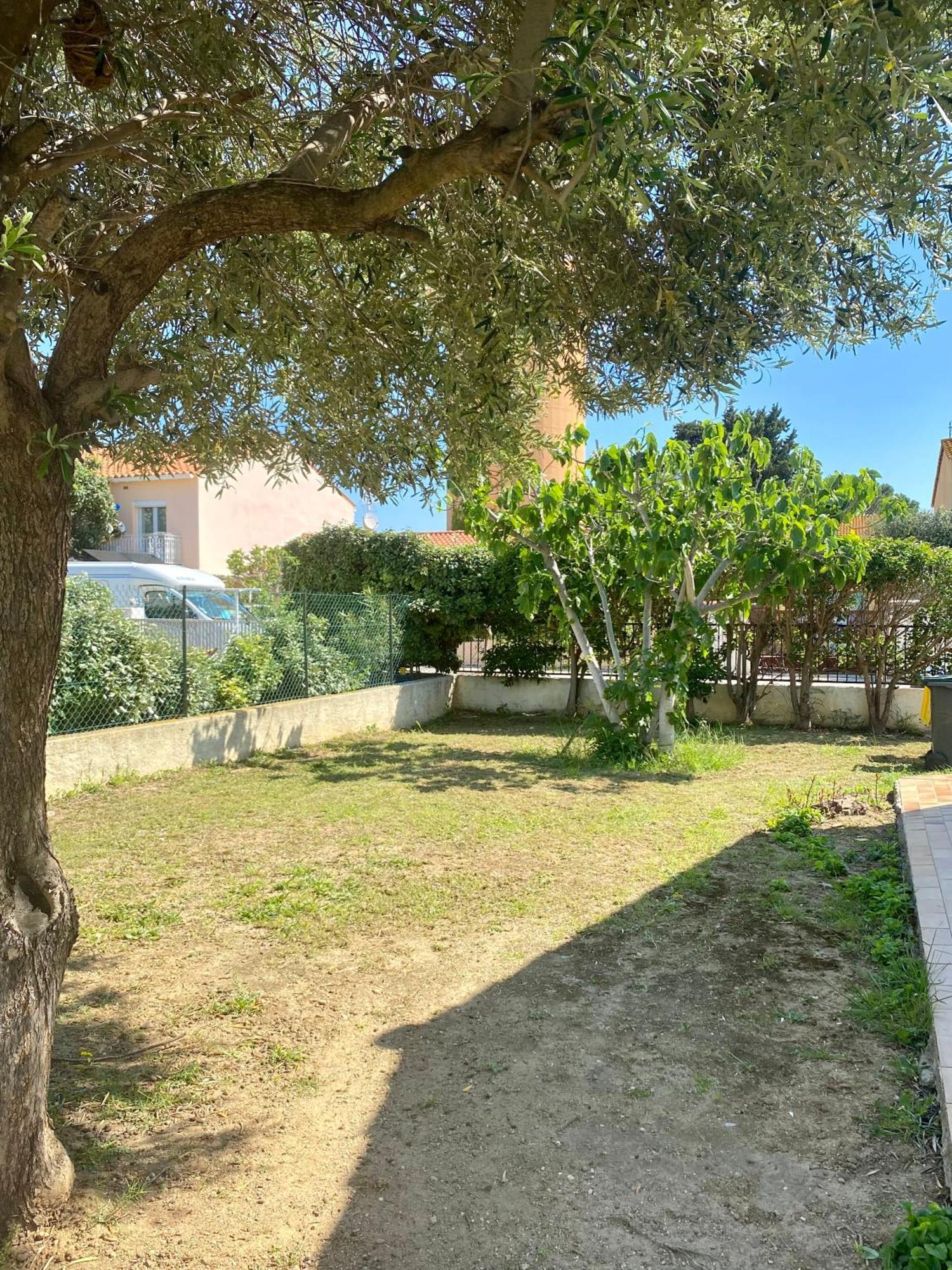 Maison Avec Jardin サルス・ル・シャトー エクステリア 写真